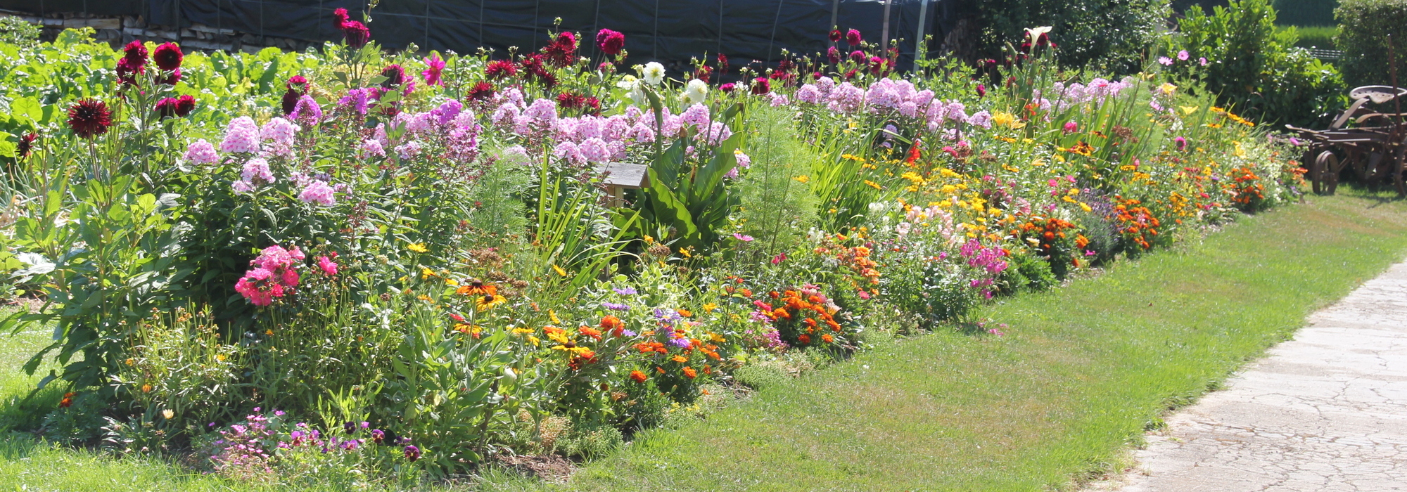 Concours fleuri