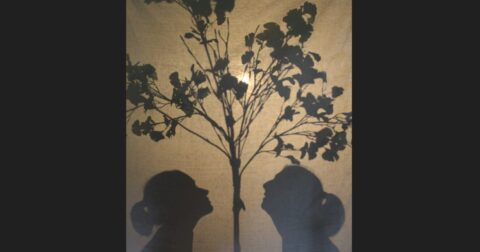 ombre de deux femmes regardant un arbre en l'air